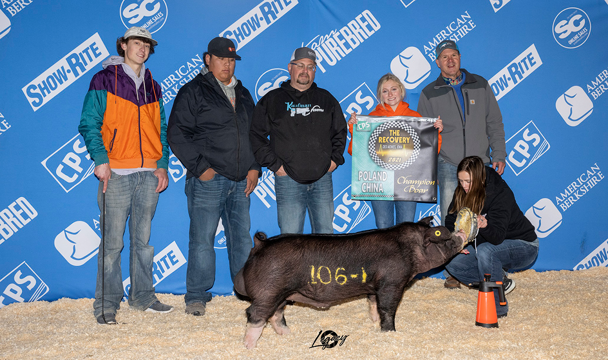 Champion-Poland-boar